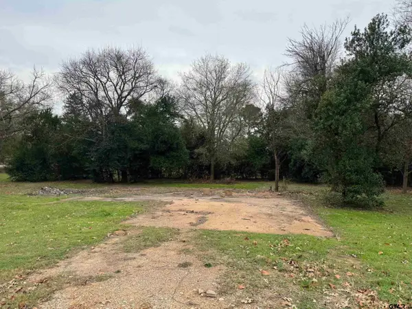 211 3rd Street, Grapeland, TX 75844