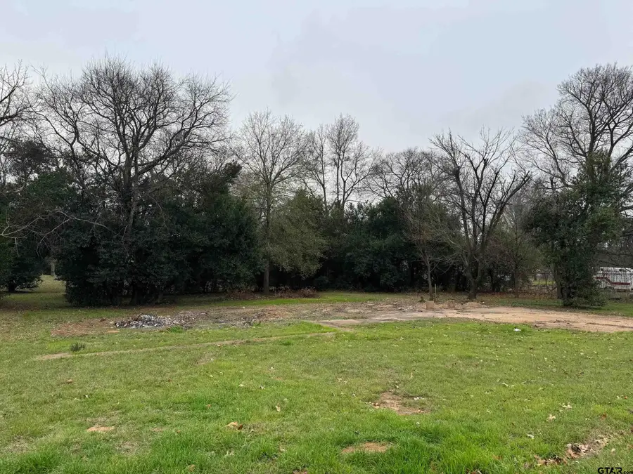 211 3rd Street, Grapeland, TX 75844 - #3