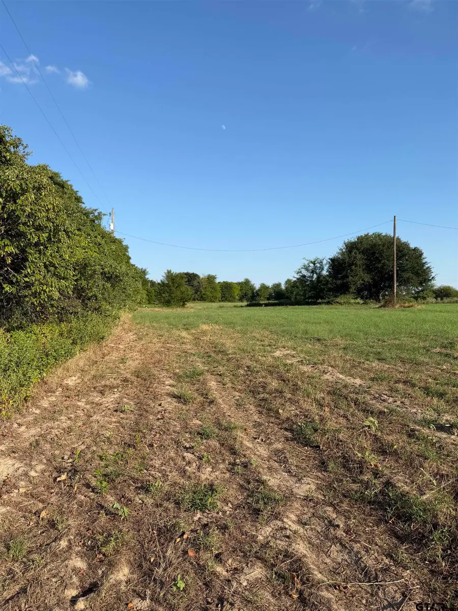 10392 Fm 859, Edgewood, TX 75117 - #2