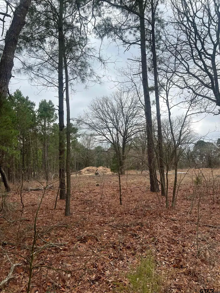 19215 FM 1804, Lindale, TX 75771 - #2