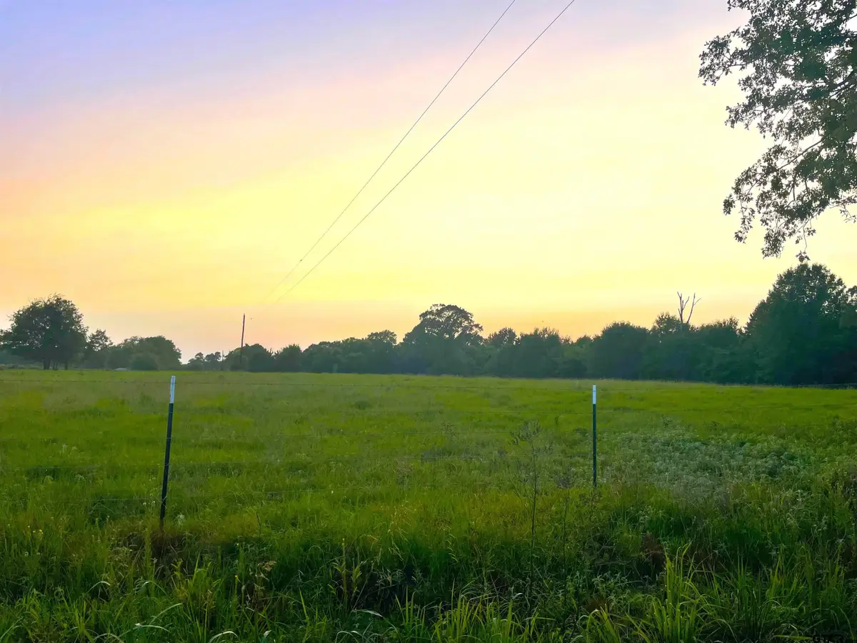 N CR 3310, Avery, TX 75554 - #1