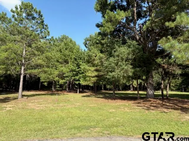 208 Pack Saddle Ridge, Holly Lake Ranch, TX 75765 - #2