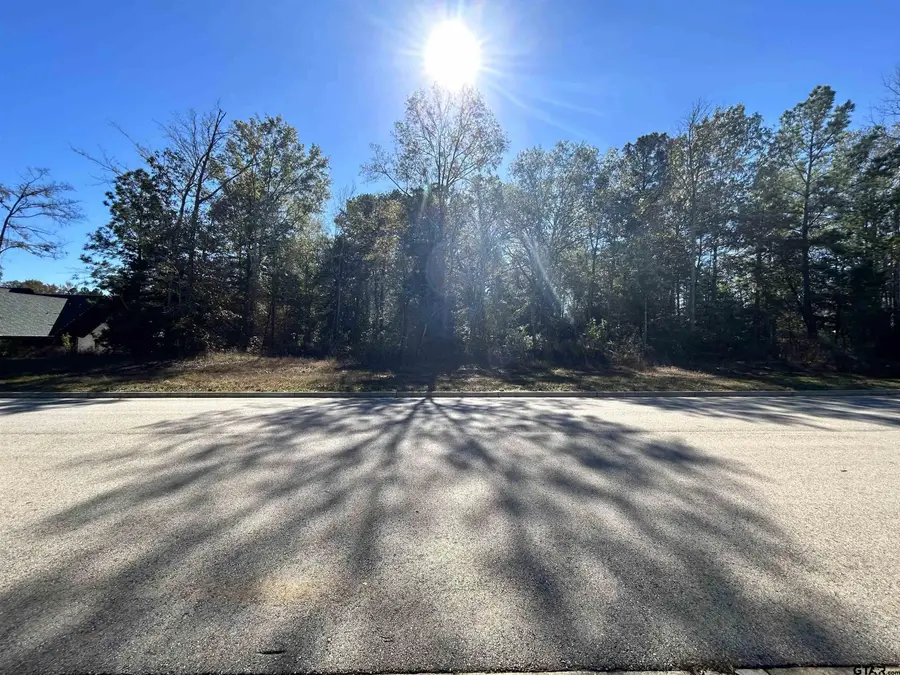 1552 Stafford Drive, Tyler, TX 75703 - #3