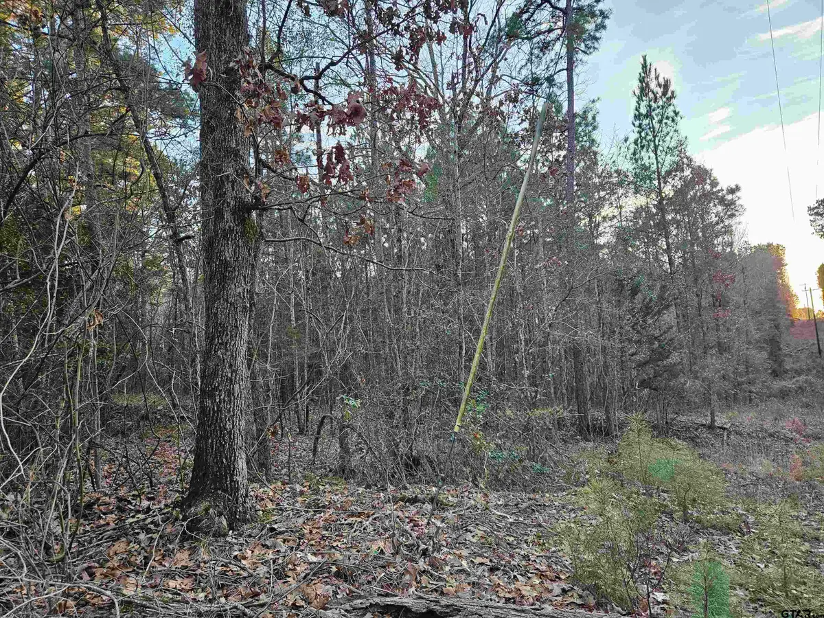 9557 Fm 726, Gilmer, TX 75644 - #1