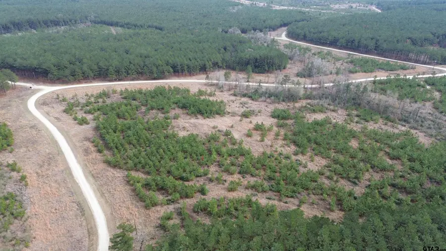 TBD Taylor Trail, Lovelady, TX 75851 - #3