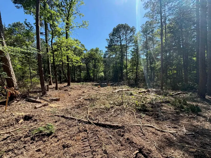 TBD ZINNIA RD, Diana, TX 75640 - #3