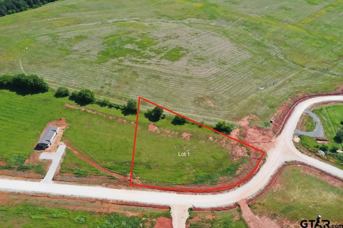 16604 Caeli Heights Ct Lot 1, Winona, TX 75792 - Image #1