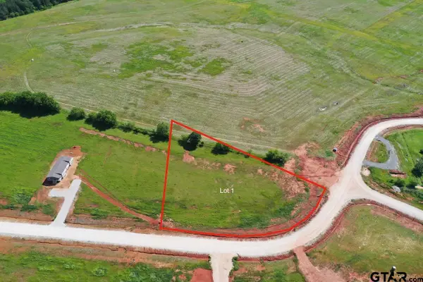 16604 Caeli Heights Ct Lot 1, Winona, TX 75792