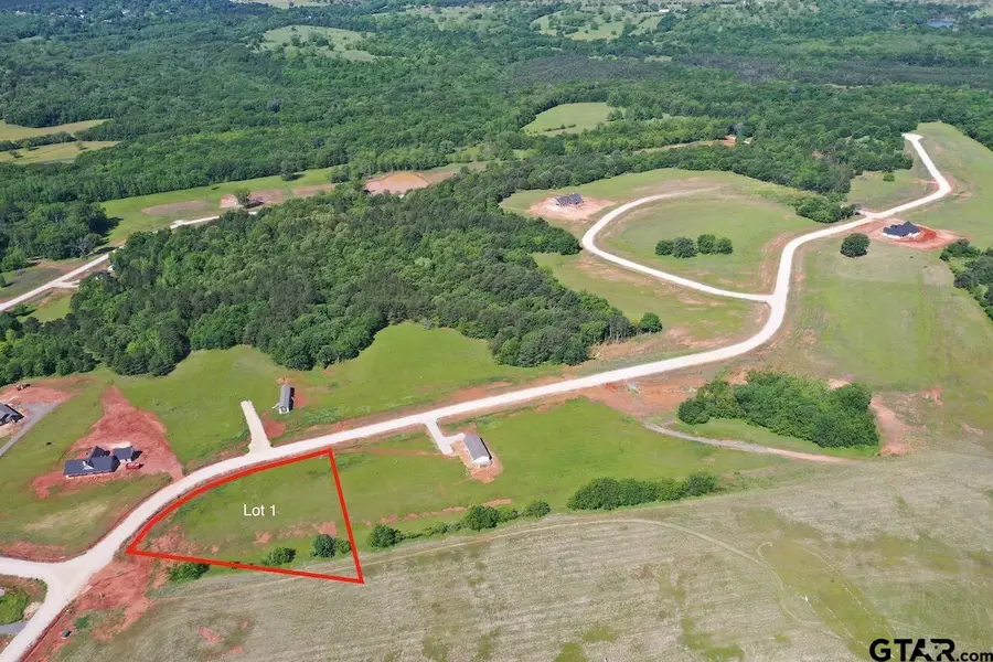 16604 Caeli Heights Ct Lot 1, Winona, TX 75792 - Image #3