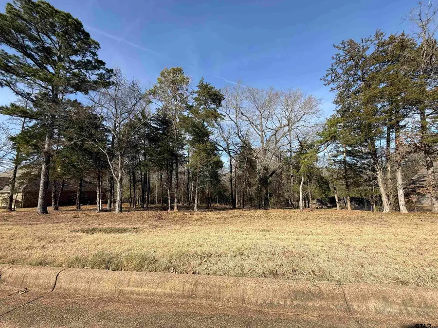 290 Oak Grove Way, Bullard, TX 75757 - Image #2