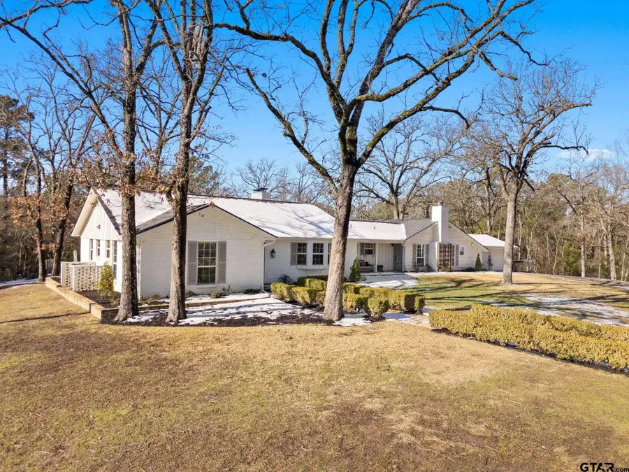 14156 County Road 193, Tyler, TX 75703 - Image #2