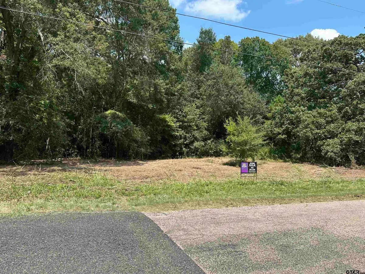 TBD Sanbox, Athens, TX 75751 - #1