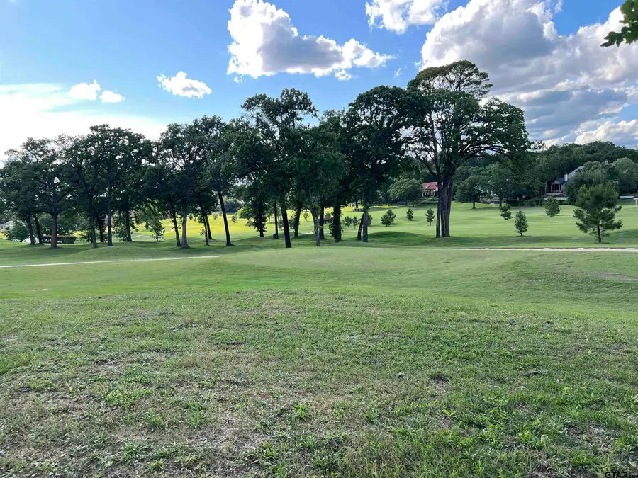 4212 Hogan Drive, Tyler, TX 75706 - #2