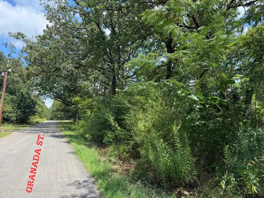 0 Hidalgo Loop, Mabank, TX 75156 - Image #2