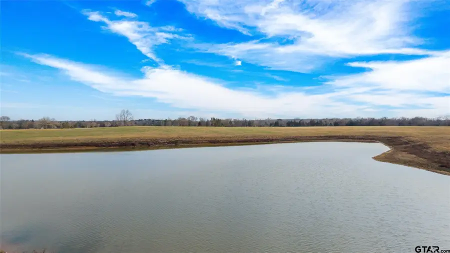 1127 SW County Road 3230, Winnsboro, TX 75494 - #3