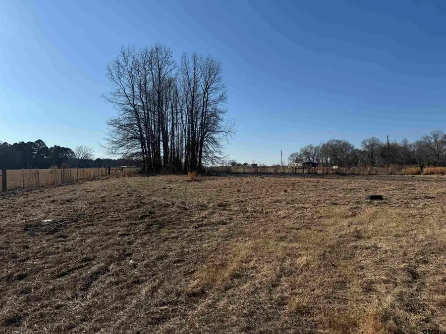 19037 County Road 3162, Lindale, TX 75771 - Image #2