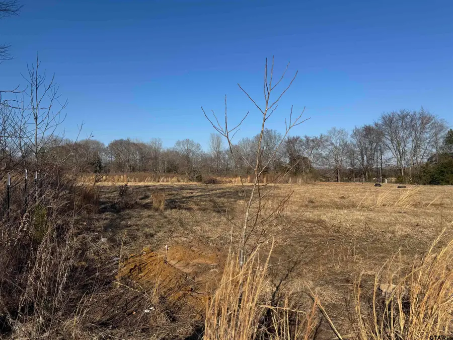 19037 County Road 3162, Lindale, TX 75771 - Image #3