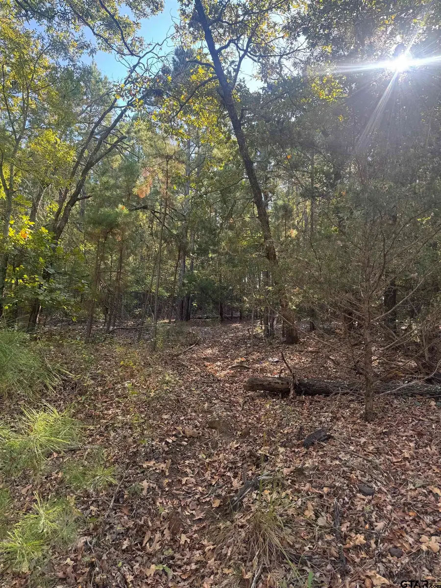 TBD FM 346, Tyler, TX 75703 - #2