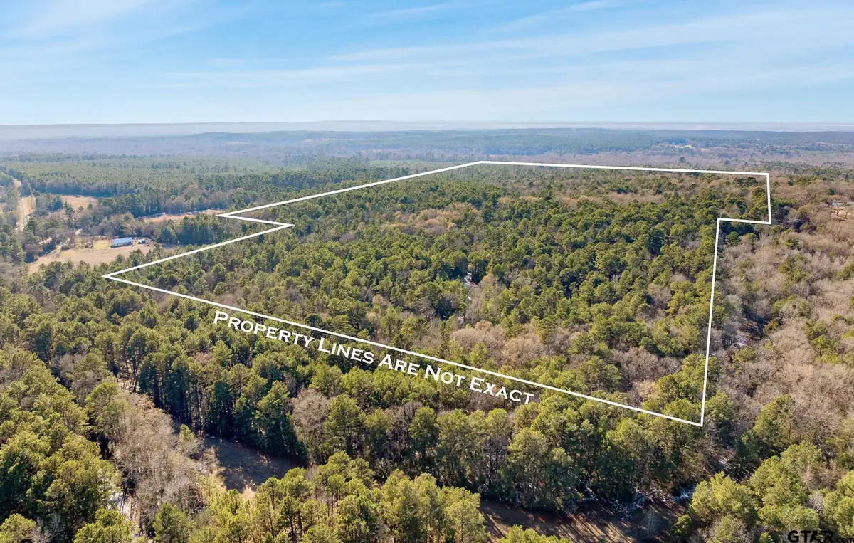 TBD County Road 2126, Rusk, TX 75785 - #1