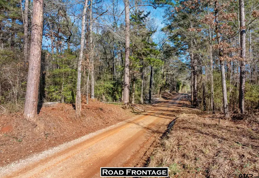TBD County Road 2126, Rusk, TX 75785 - #3