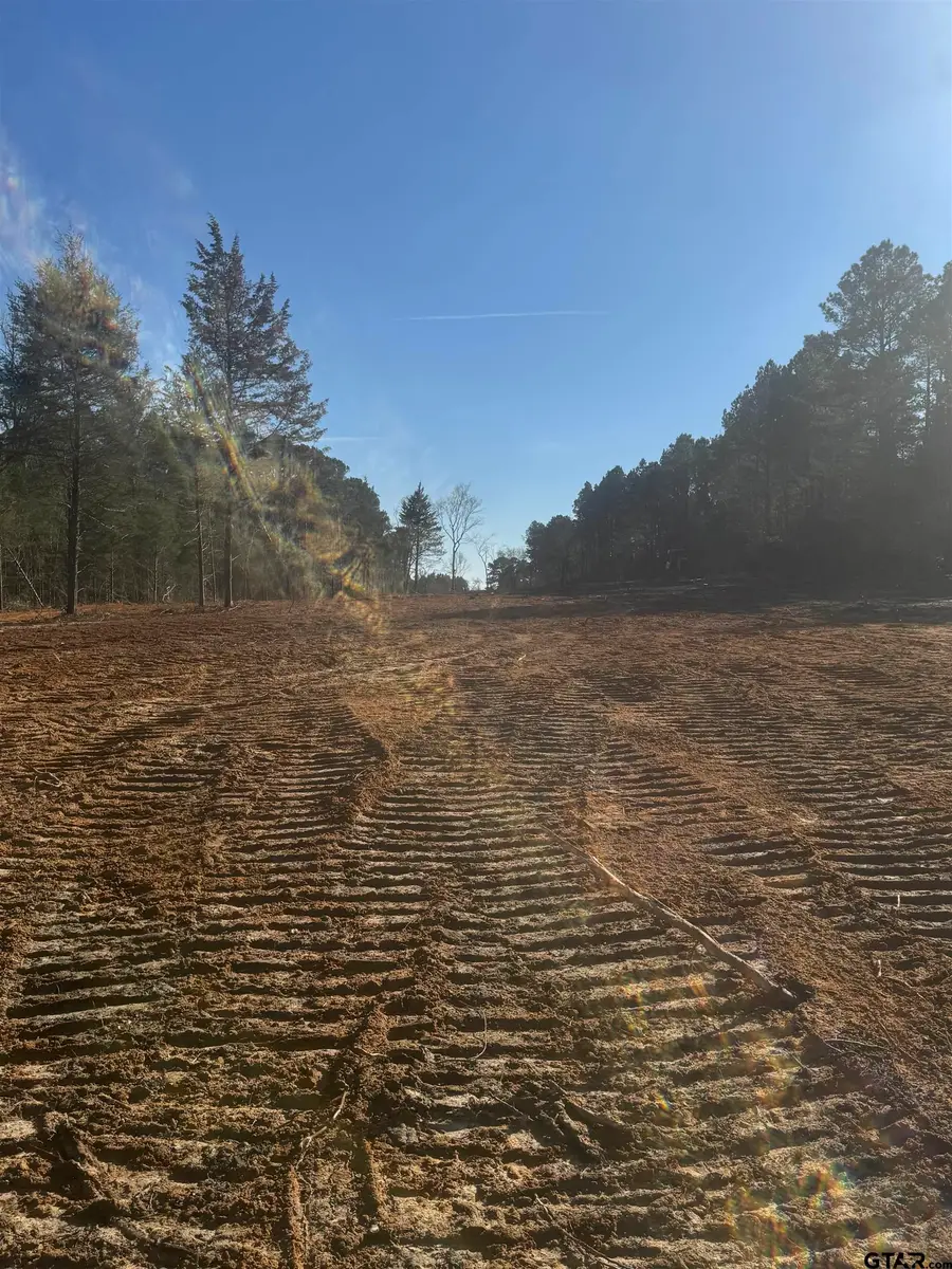 TBD County Road 366, Gladewater, TX 75647 - Image #2