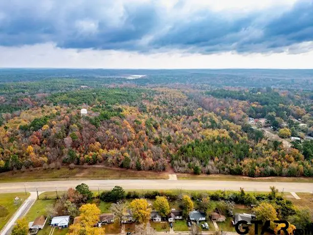 TBD N HWY 259, Lone Star, TX 75668 - #1