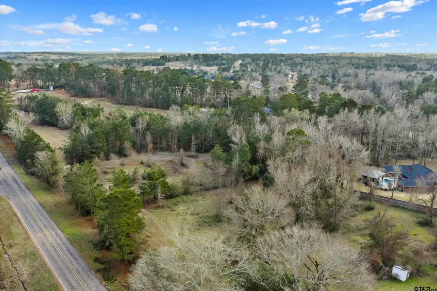 TBD FM 3310, Henderson, TX 75654 - #3