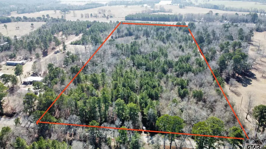 17584 Fm 1252, Winona, TX 75792 - #3