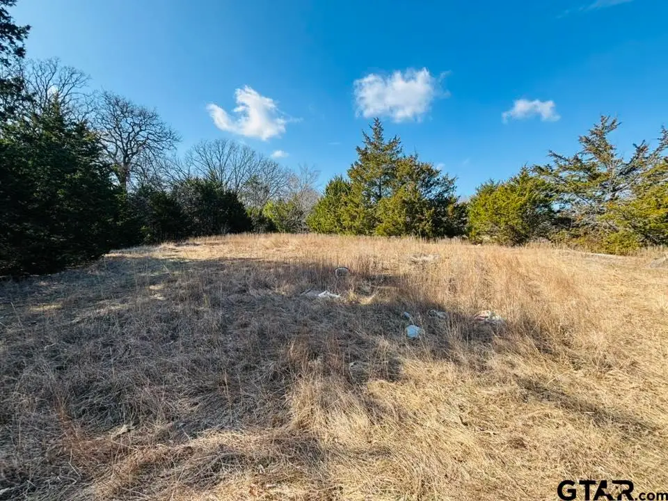 230 RS County Road 4252, Point, TX 75472 - #1