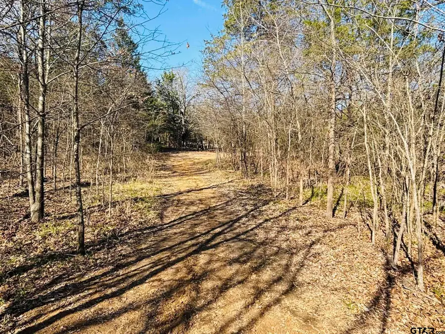 230 RS County Road 4252, Point, TX 75472 - #2