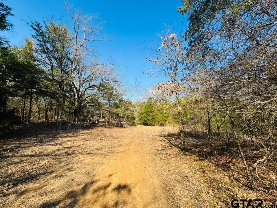230 RS County Road 4252, Point, TX 75472 - #3