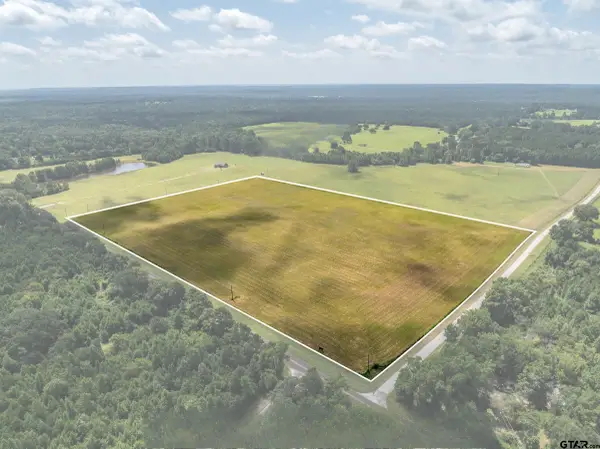 1420 ACR 379, Palestine, TX 75801