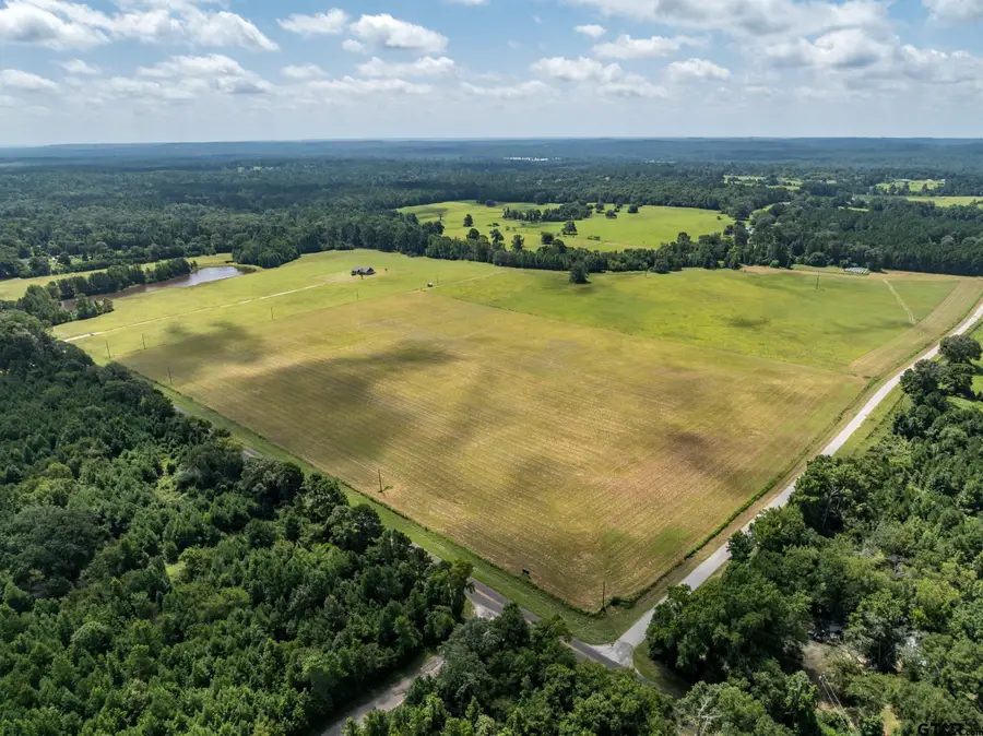 1420 ACR 379, Palestine, TX 75801 - #2