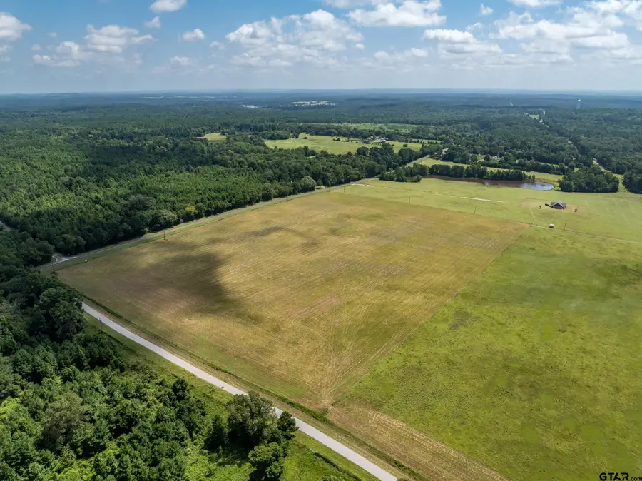 1420 ACR 379, Palestine, TX 75801 - #3