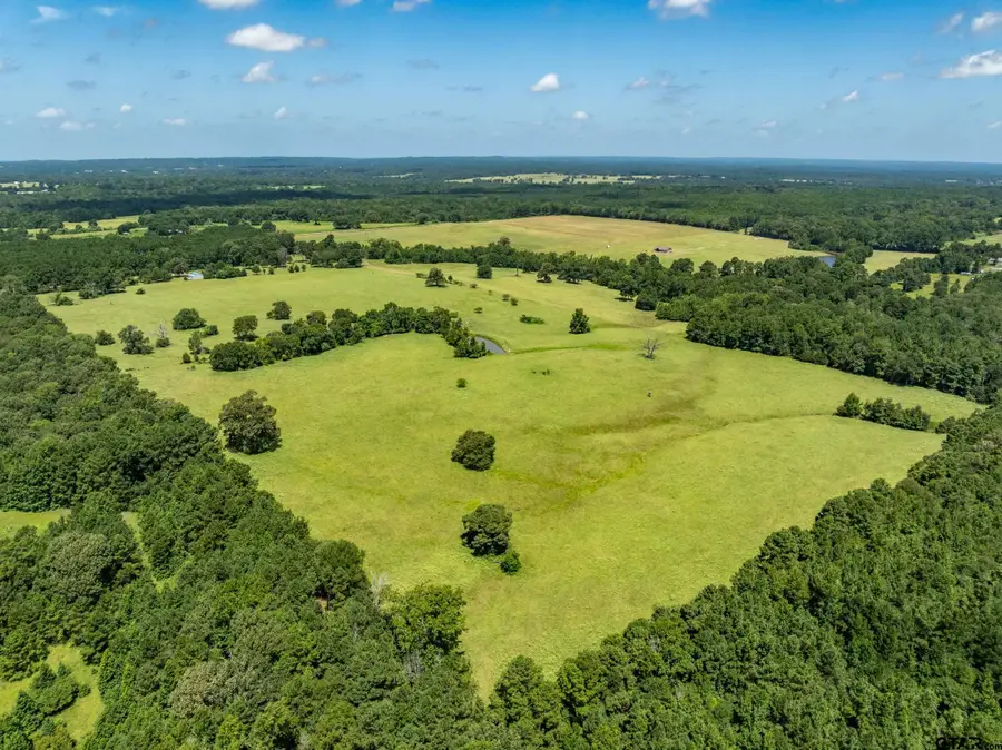 1044 ACR 379, Palestine, TX 75801 - #2
