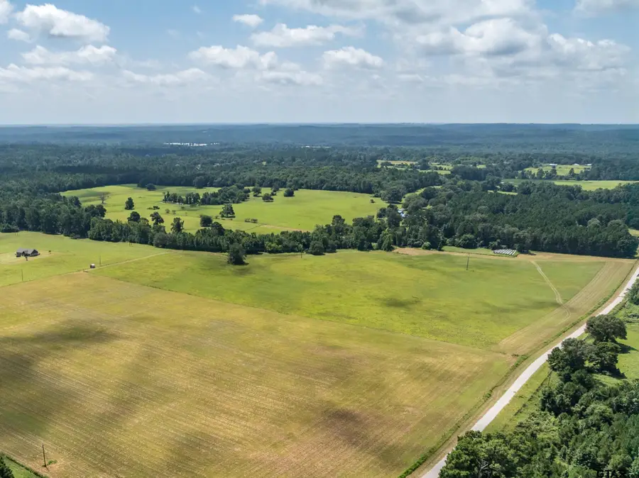 1044 ACR 379, Palestine, TX 75801 - #3