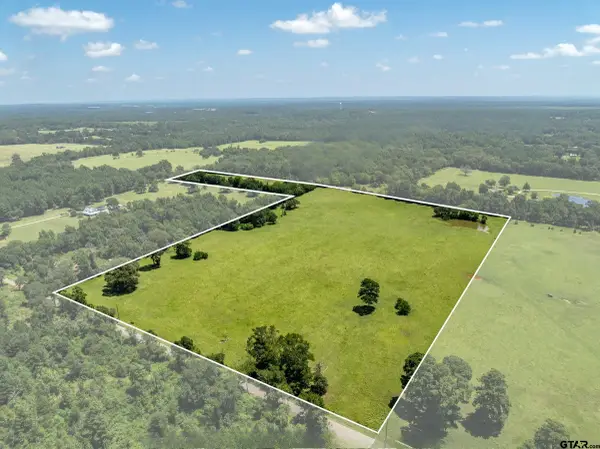 592 ACR 379, Palestine, TX 75801