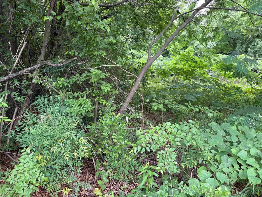 1403 N Whitten, Tyler, TX 75702 - #3