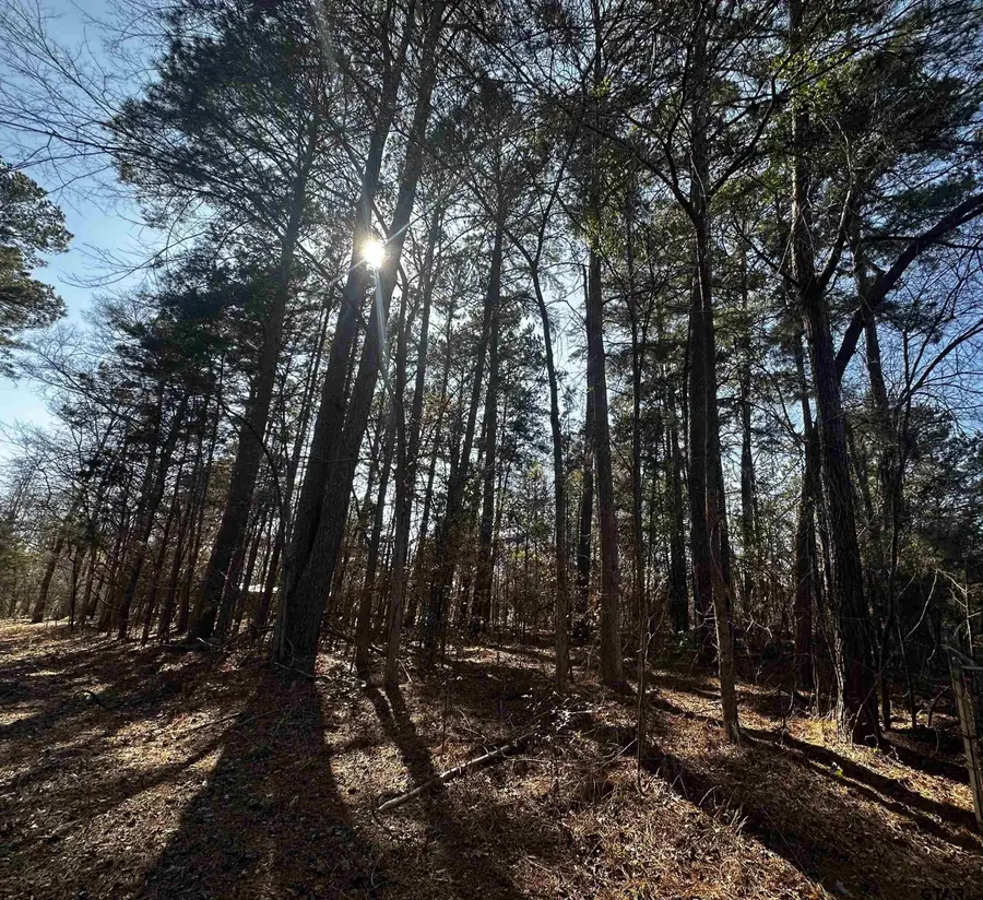 163 San Marcos, Bullard, TX 75757 - #3