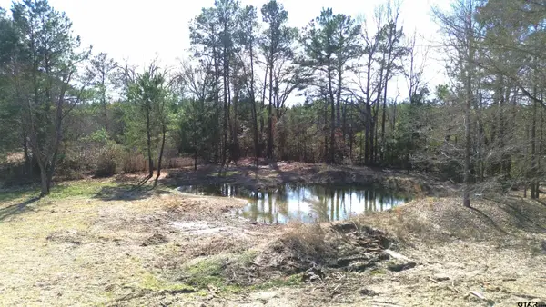 TBD CR 4120, Crockett, TX 75835