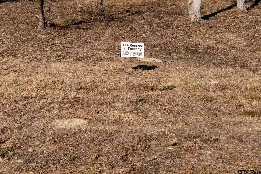 TBD PR 6305 LOT of 48, Mineola, TX 75773 - #3