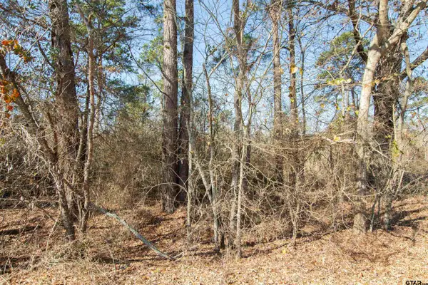 TBD VZ CR 4810, Ben Wheeler, TX 75754