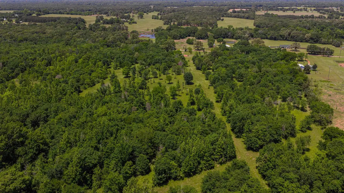 TBD Cr 1450, Mount Pleasant, TX 75455 - #1