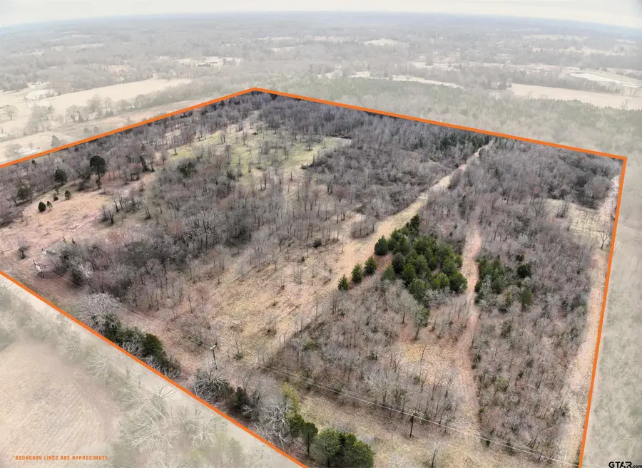 TBD CR 1450, Mount Pleasant, TX 75455 - #3