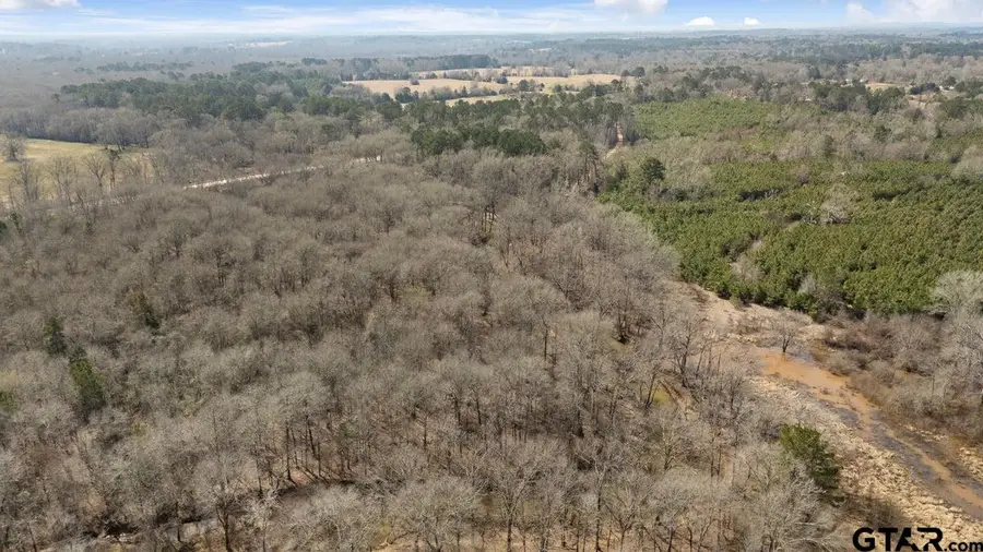 TBD State Highway 135, Troup, TX 75789 - #3
