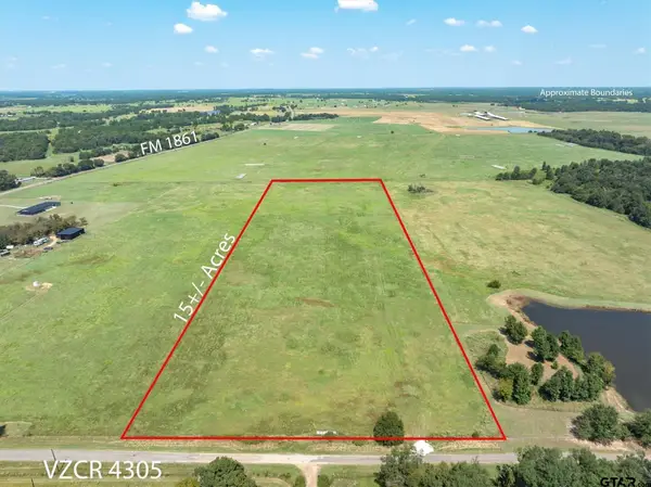 269 VZ County Road 4305, Ben Wheeler, TX 75754