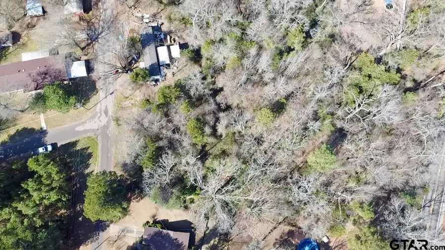 TBD County Road 2155, Quitman, TX 75783 - #3