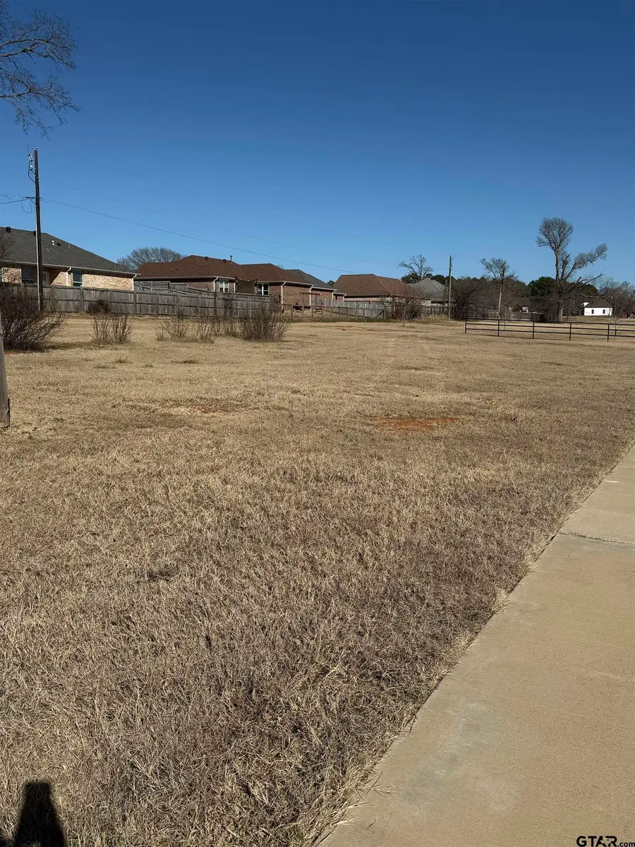399 Maji Rd, Whitehouse, TX 75791 - #2