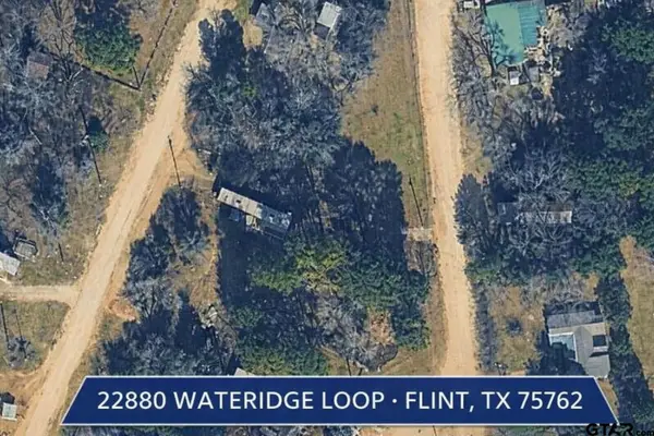 22880 Wateridge Loop, Flint, TX 75762