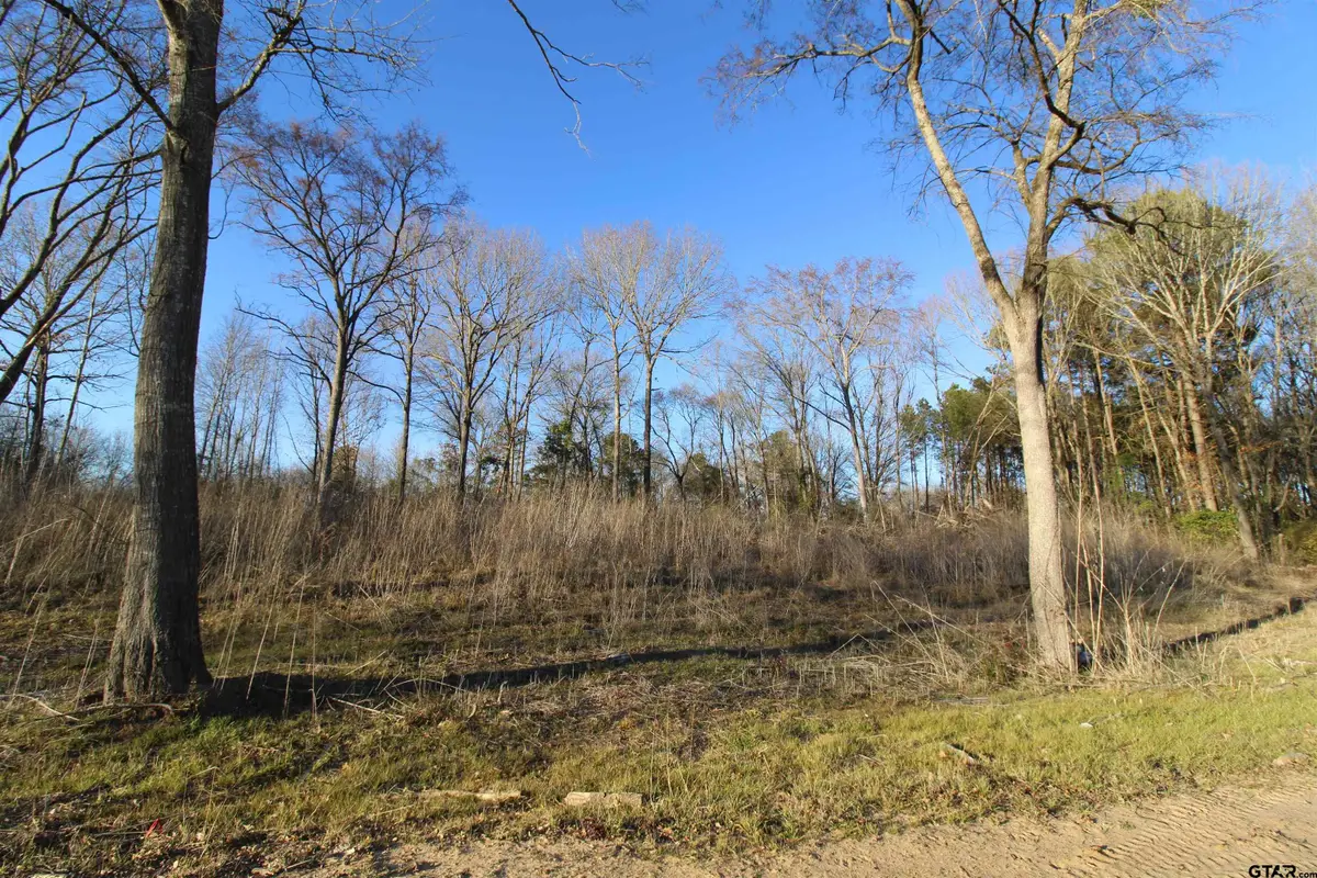 6642 County Road 488, Tyler, TX 75706 - #1